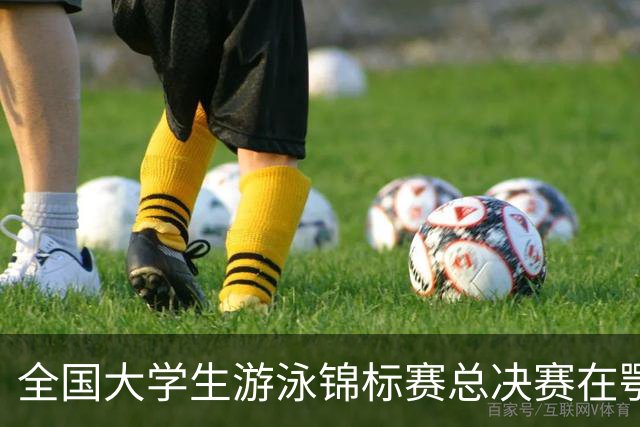 全国大学生游泳锦标赛总决赛在鄂尔多斯开赛，游泳盛宴来袭！