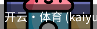 开云·体育 (kaiyun)官方网站_KAIYUN SPORT